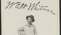 Walt Whitman, illustration from Leaves of Grass