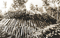 Constructed wood pile ready to burn for charcoal (image courtesy PA DCNR â€“ Greenwood Furnace State Park).