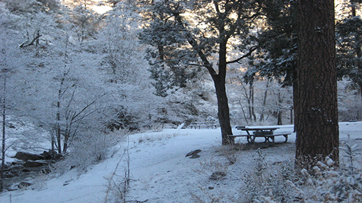 Snowy Campground