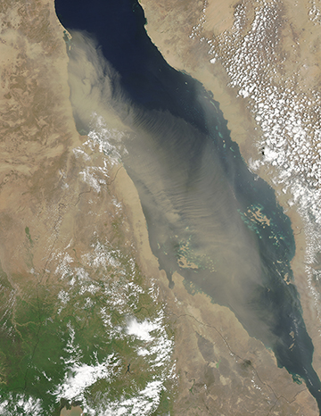 Dust over the Red Sea