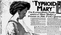 Mary Mallon, "Typhoid Mary," The New York American, 1909