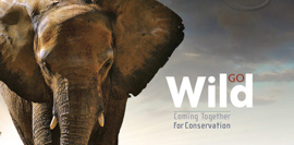 "Go Wild! Coming Together for Conservation