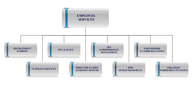 Employee Services organization chart