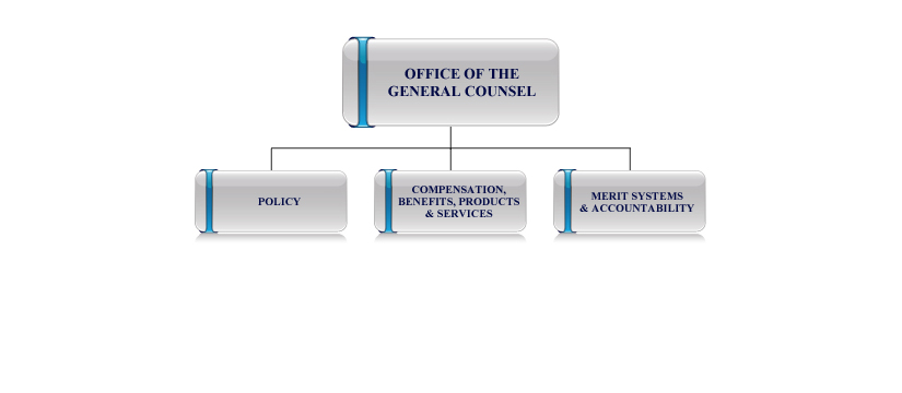 General Counsel organization chart