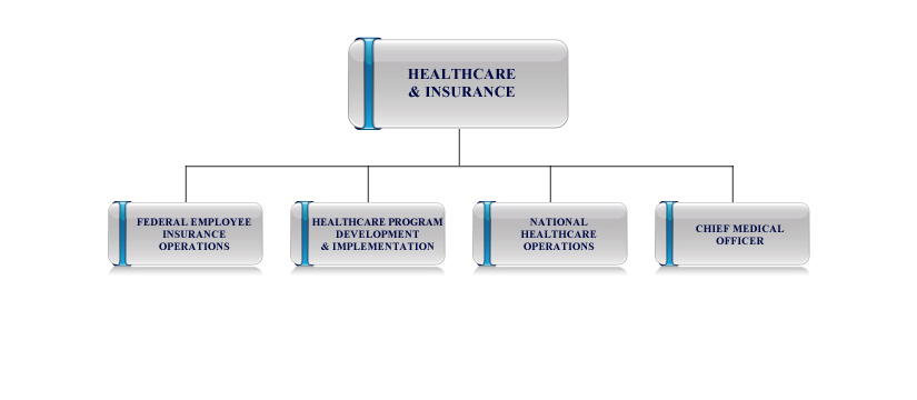 Healthcare and Insurance organization chart