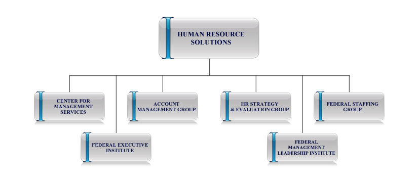 Human Resource Solutions organization chart