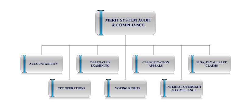 Merit System Audit and Compliance organization chart