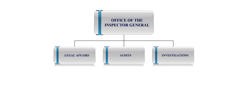 Office of Inspector General organization chart