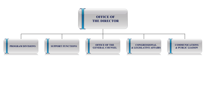 Office of the Director organization chart