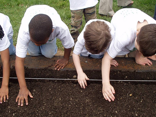 Students at Lawrenceville Elementary School in Lawrenceville, NJ cultivate their school garden from planting to harvest!