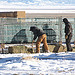 01-19-13 Day 2 Diamond Complex Wild Horse Gather