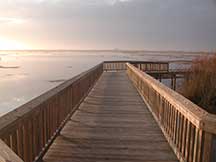 Anahuac Boardwalk morning