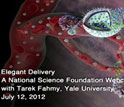 Elegant Delivery, A National Science Foundation Webcast with Tarek Fahmy, Yale University, July 12, 2012.