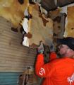 A Samaritan's Purse Volunteer Carefully Removes Old Plasterboard