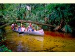 Canoeing Juniper Run