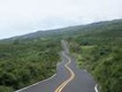 Two lane road surrounded by trees.