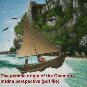 Ancient Origins of the Chamoru people. A Genetic mtdna perspective. 