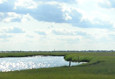 NERRS Reserve Banner