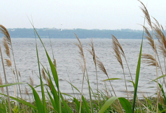 NERRS Reserve Banner