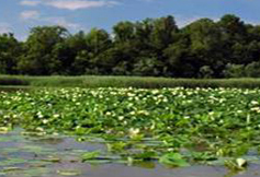 NERRS Reserve Banner