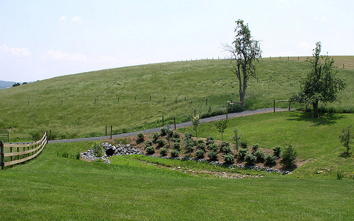 After.jpg: Janet Kline has installed this stream crossing, fencing and a forested buffer using Chesapeake Bay Watershed Initiative funding. 