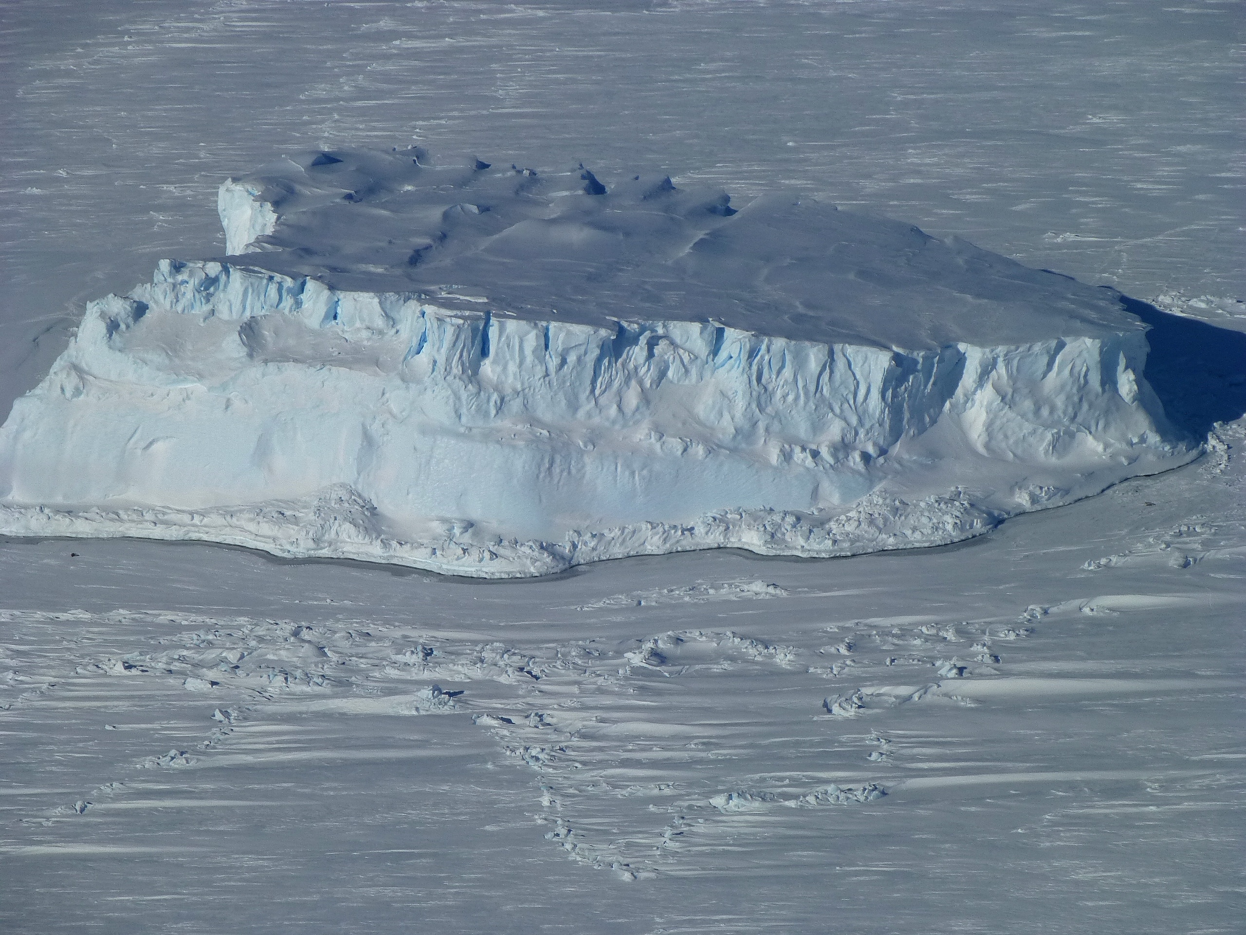 An iceberg trapped in sea ice in the Amundsen Sea, seen from the IceBridge DC-8 during the Getz 07 mission on Oct. 27. Credit: NASA / Maria-Jose Vinas