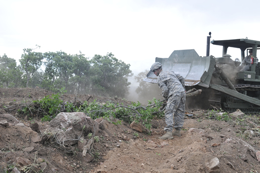 Clearing brush