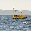 Northwest National Marine Renewable Energy Center's Ocean Sentinel wave energy testing system off the coast of Newport