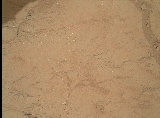 Image taken by Mars Hand Lens Imager