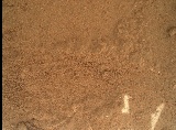 Image taken by Mars Hand Lens Imager