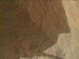 Image taken by Mars Hand Lens Imager