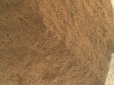 Image taken by Mars Hand Lens Imager