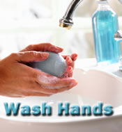 Wash Hands