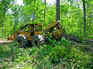 link to Bioenergy Production