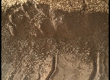 Image taken by Mars Hand Lens Imager