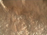 Image taken by Mars Hand Lens Imager