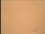 Image taken by Mars Hand Lens Imager