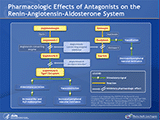 Despite standard therapy, patients with stable ischemic heart disease and preserved left ventricular systolic function continue to be at risk for future cardiovascular events. The Renin-Angiotensin-Aldosterone System (RAAS) is critical for regulating blood pressure, electrolyte balance, and fluid volume homeostasis and plays a pivotal role in the pathogenesis of hypertension, congestive heart failure, and diabetic nephropathy. Pharmacological agonists of this system include angiotensin-converting enzyme inhibitors (ACEIs) and angiotensin II receptor blockers (ARBs). These drugs block adverse effects of the RAAS by blocking the activity of angiotensin II. Through the stimulation of angiotensin II type-1 receptors, angiotensin II may have several potentially harmful activities including induction of aldosterone production, which can cause sodium retention and increased fluid retention that, in turn, leads to an increase in blood pressure, increased aldosterone production, which can possibly lead to promotion of pathogenic remodeling (i.e., atherosclerosis and fibrosis), constriction of blood vessels, which can lead to increased blood pressure, and potential reduction in the availability of nitric oxide through the production of free radicals and the induction of endothelial dysfunction that may impact endothelial wall integrity. ACEIs act on the RAAS by blocking the conversion of angiotensin I into angiotensin II and inhibiting the breakdown of bradykinin, which is a potent vasodilator. ARBs block the angiotensin II type-1 receptor and reduce the pharmacologic effects of angiotensin II, regardless of whether angiotensin II is created by the angiotensin-converting enzyme or by pathways that do not include this enzyme. ACEIs and ARBs may potentially provide several pharmacological effects over and above that of blood pressure reduction alone, which may impact cardiovascular events.