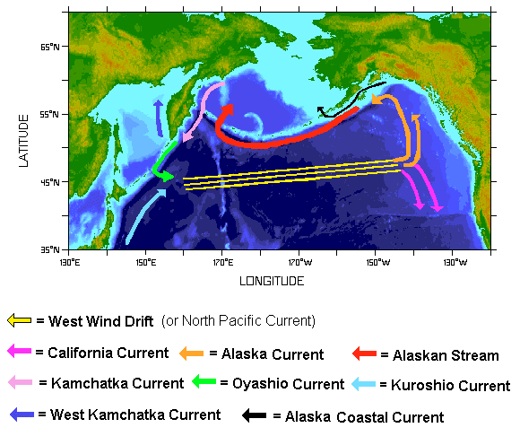 currents in the North Pacific Ocean