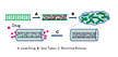 Mechanism of drug delivery using carbon nanotubes