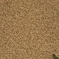 Image taken by Mastcam: Right