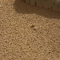 Image taken by Mastcam: Right