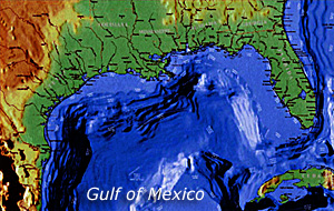 USGS coastal science is coordinated throughout the northern Gulf of Mexico from Texas to Florida. 