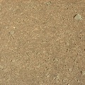 Image taken by Mastcam: Left