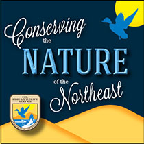 Nosrtheast Blog Logo