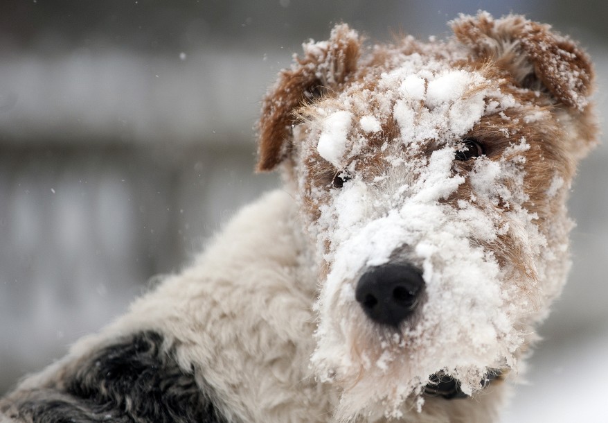 GERMANY-SNOW