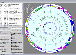 BugBrowser GUI screen example