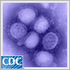 This podcast explains how vaccination, everyday preventive actions, and the correct use of antiviral drugs can help you fight both seasonal flu and 2009 H1N1 flu.