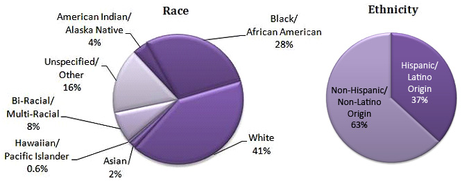 2011 race statistical data