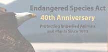 ESA 40th Anniversary celebration